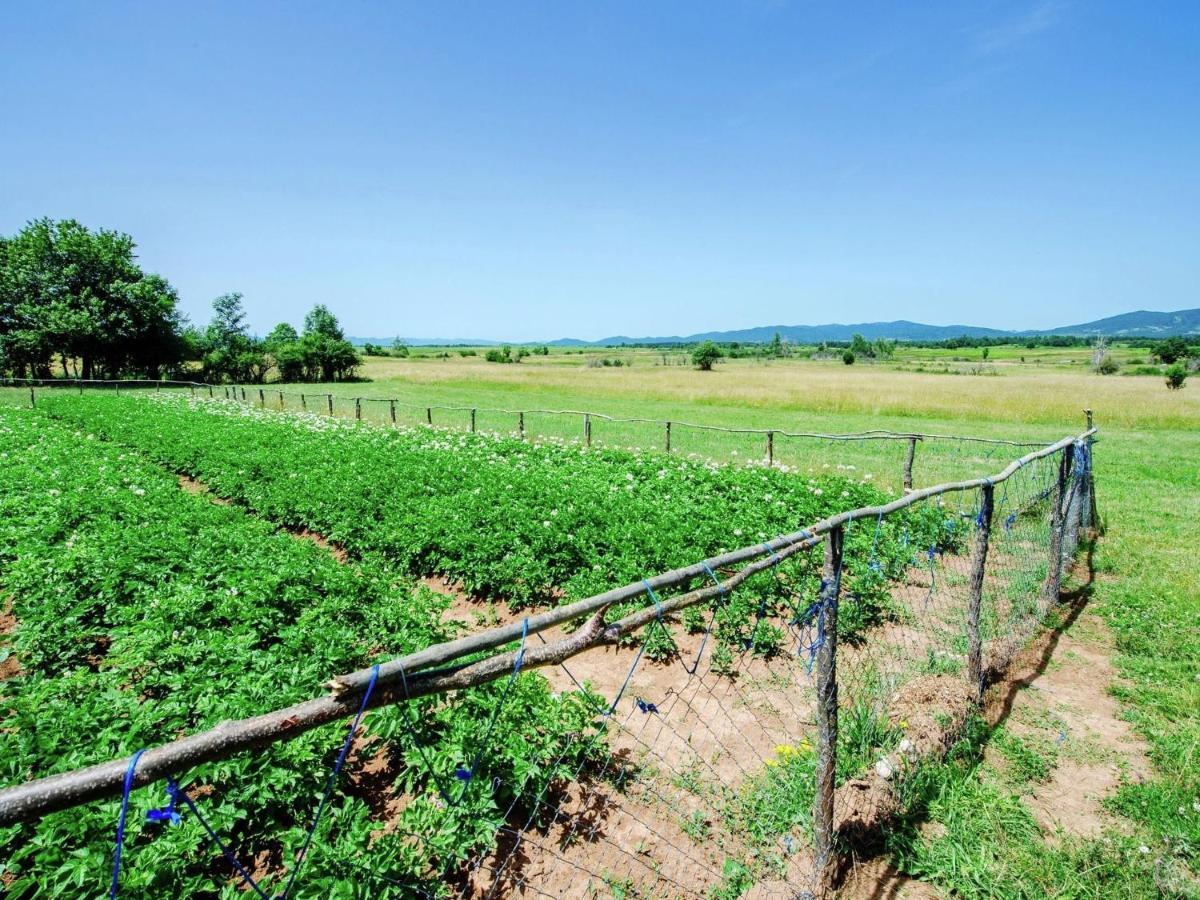 Quiet Country Side Cottage Near Nature Park Velebit Lovinac  Exterior foto